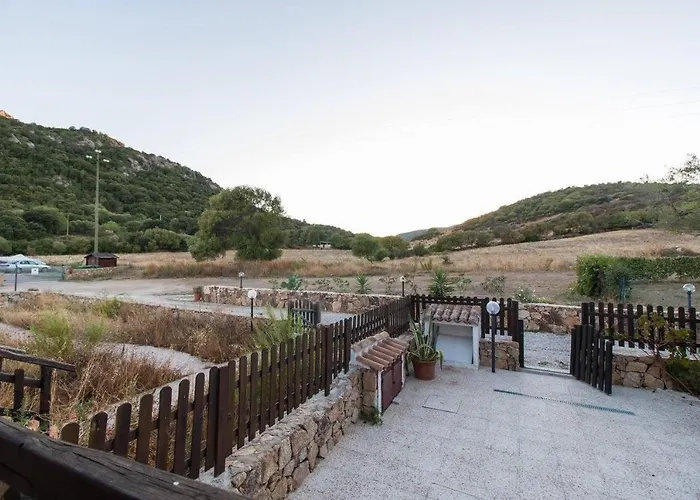 Glicine * Vaccileddi