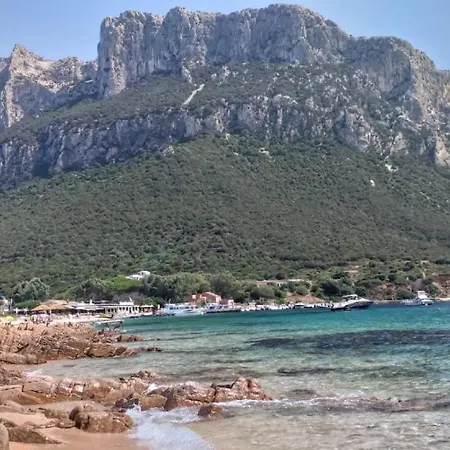 Glicine Appartamento